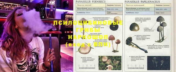 меф Снежногорск